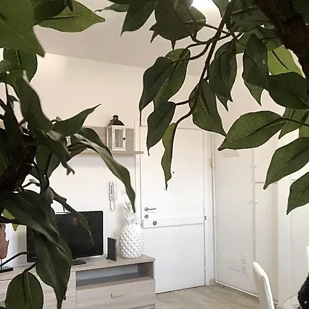 Familybo Delight - Front Station